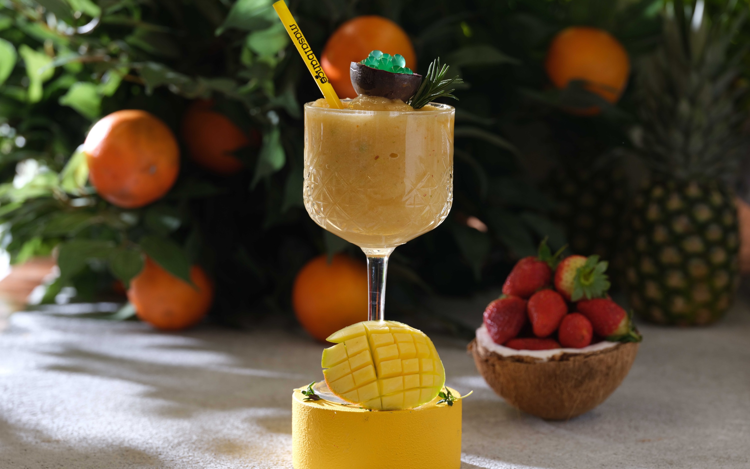 Fruit Chillers / Frozen